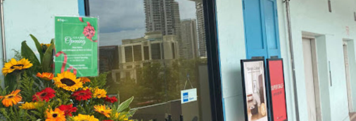 Born in Colour – Furniture Shop- Stores Singapore