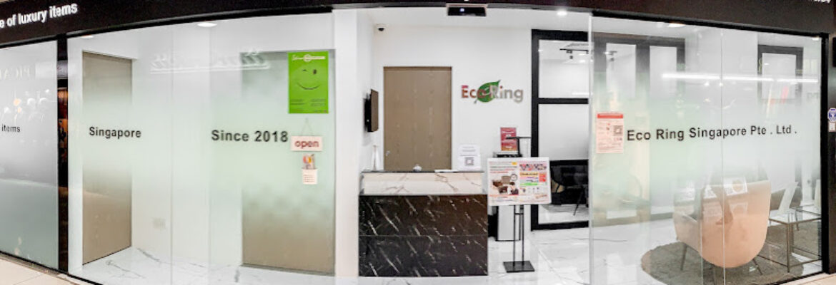 EcoRing Singapore – Sell bags, watches and anything branded!