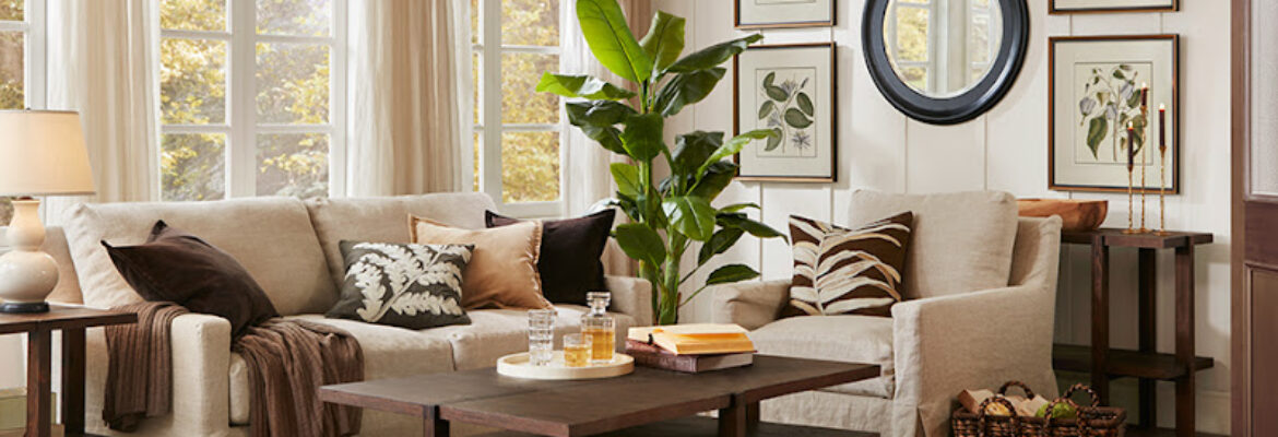 Teak Furniture Singapore