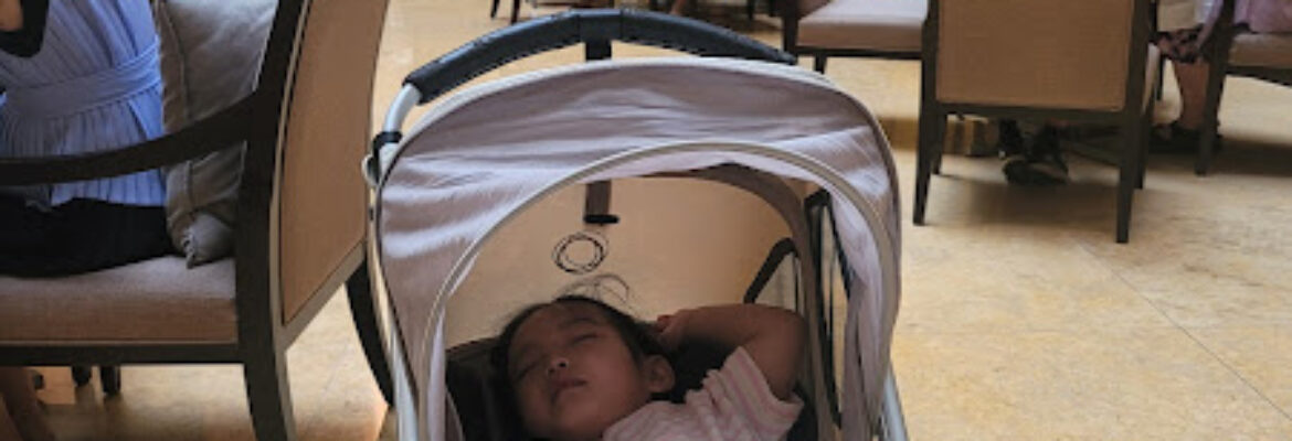 Baby Carriers Rental SG – Consultancy/ Rental /Sales