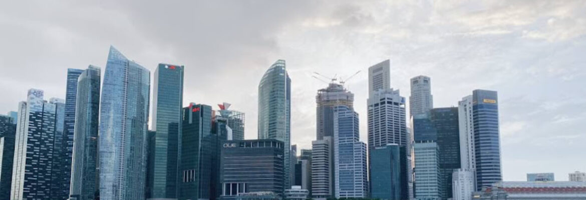 Aura Partners (Singapore) Pte Ltd
