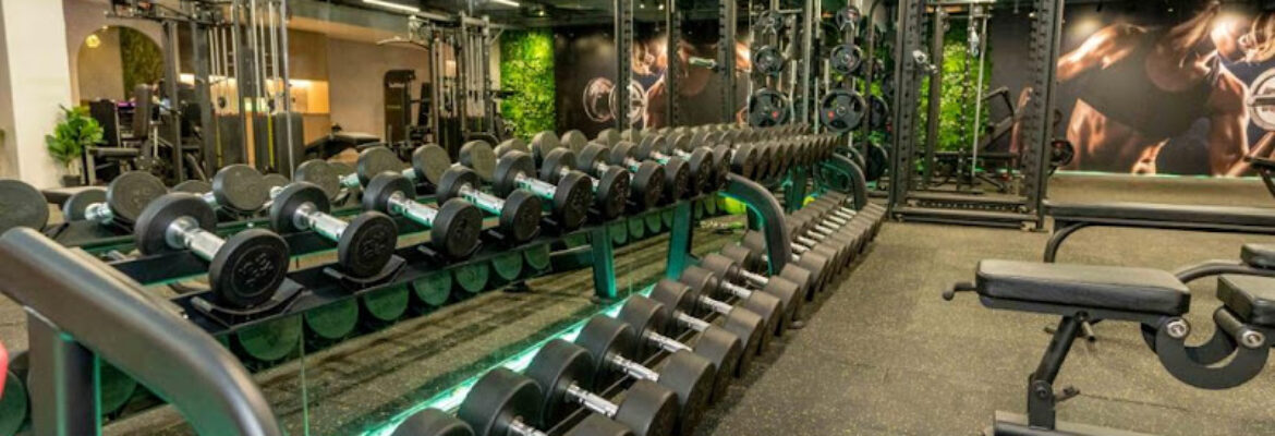Avante Gym & Yoga