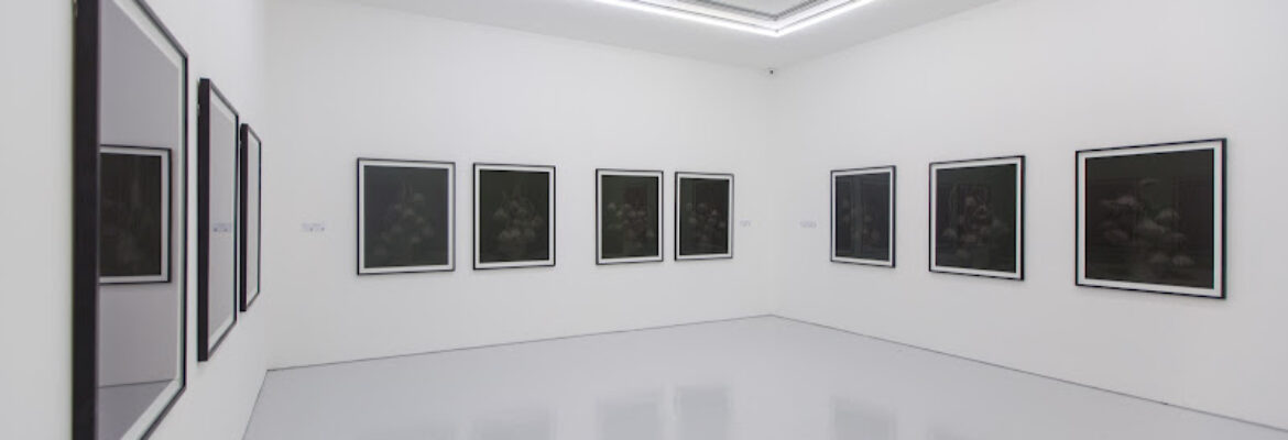 Richard Koh Fine Art
