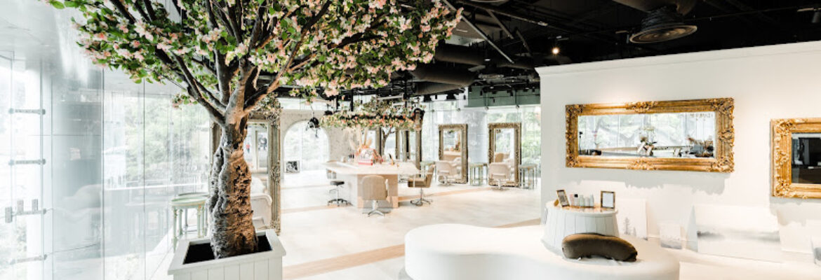 Suchehwa By Ted – Luxury Korean Hair Salon