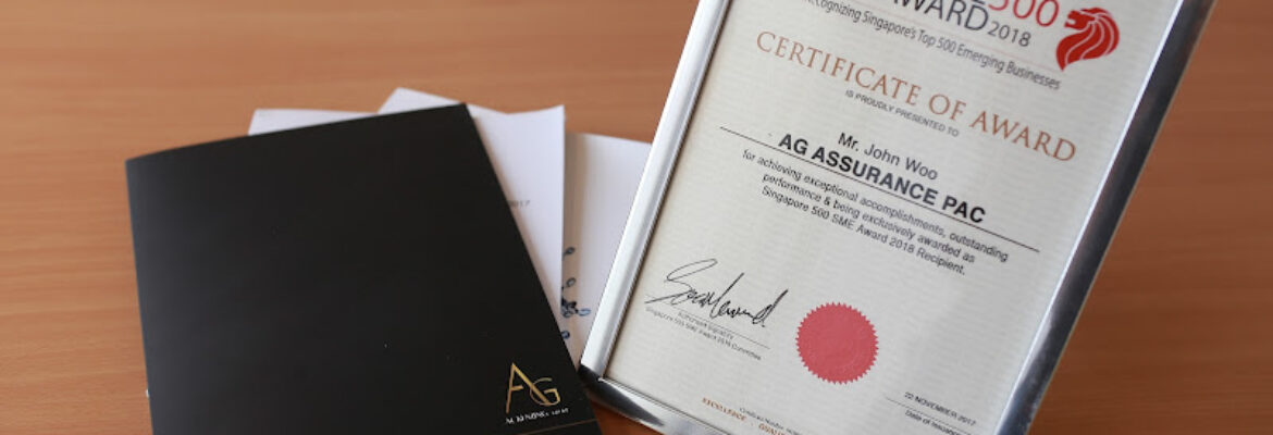 AG Singapore – Accounting & Auditing