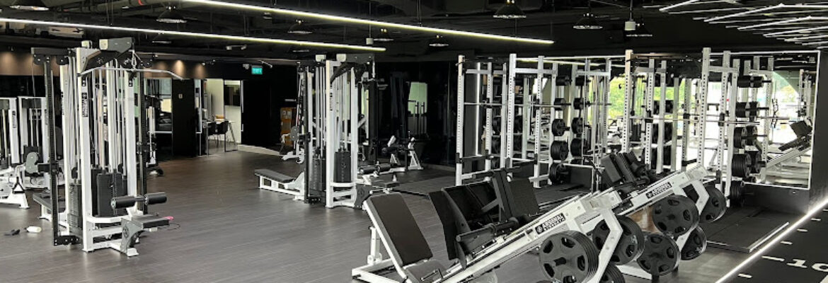 Freedom Gym