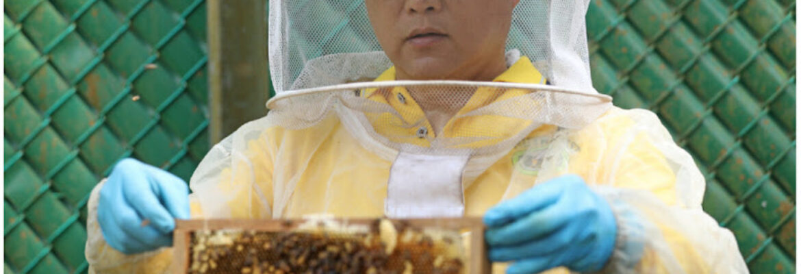 Nutrinest Bee Rescue