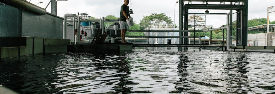 Atlas Aquaculture Pte. Ltd.