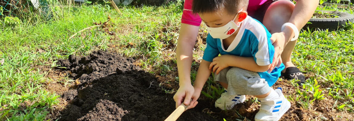 Sunflower Baby House & Preschool