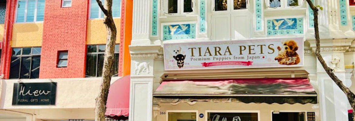 TIARA PETS – Premium Japan Puppies