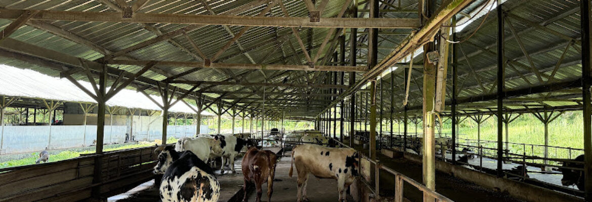 Viknesh Dairy Farm