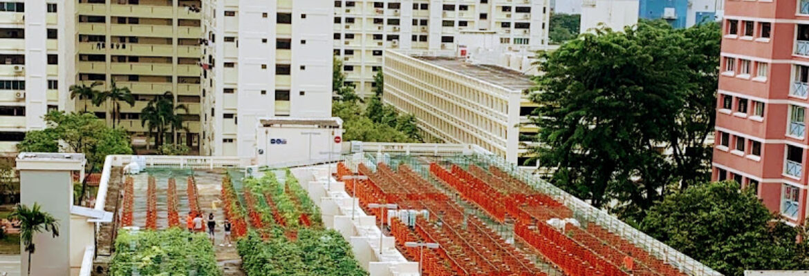 Nature’s International Commodity Pte Ltd