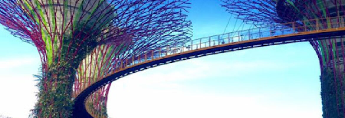 Singapore PR Consultancy