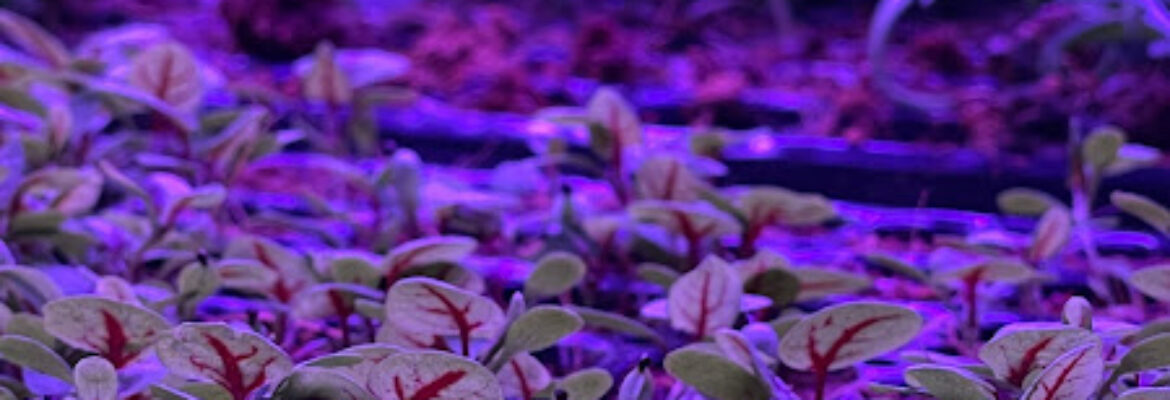 GreenLoopFarms