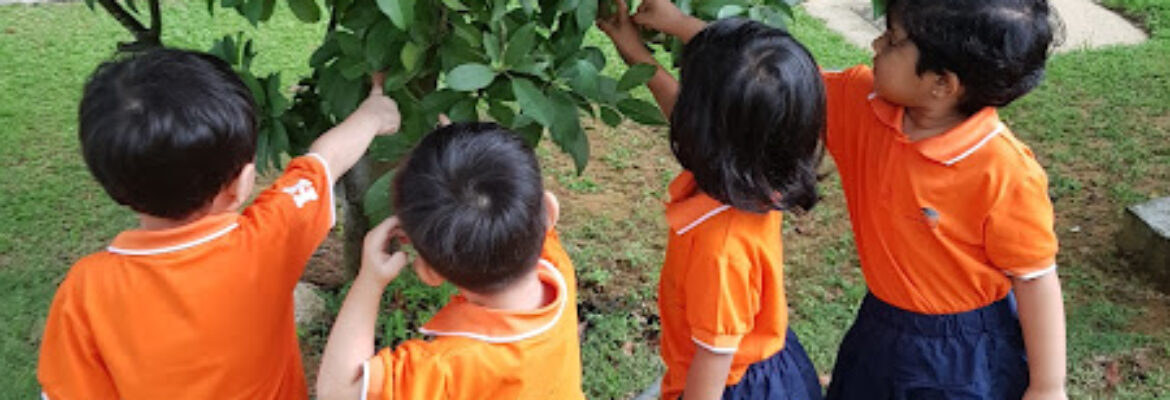 Morning Glory Preschool