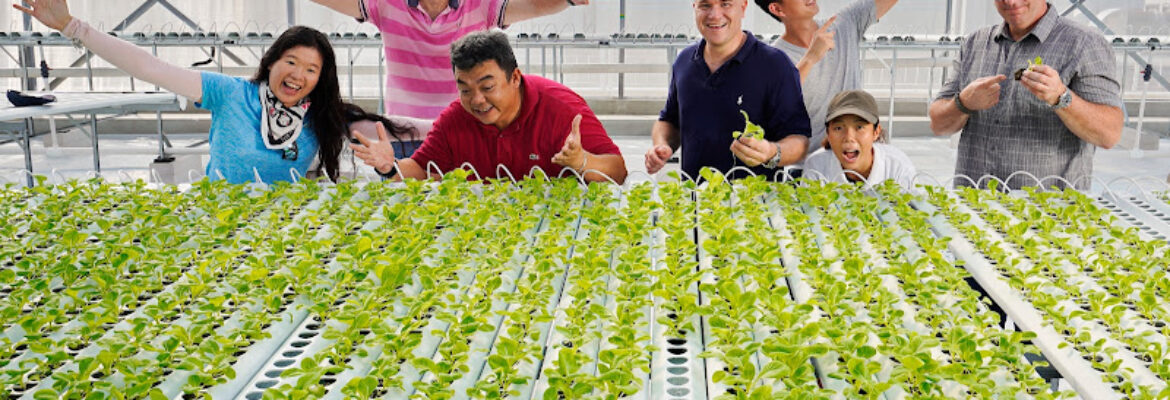 ComCrop
