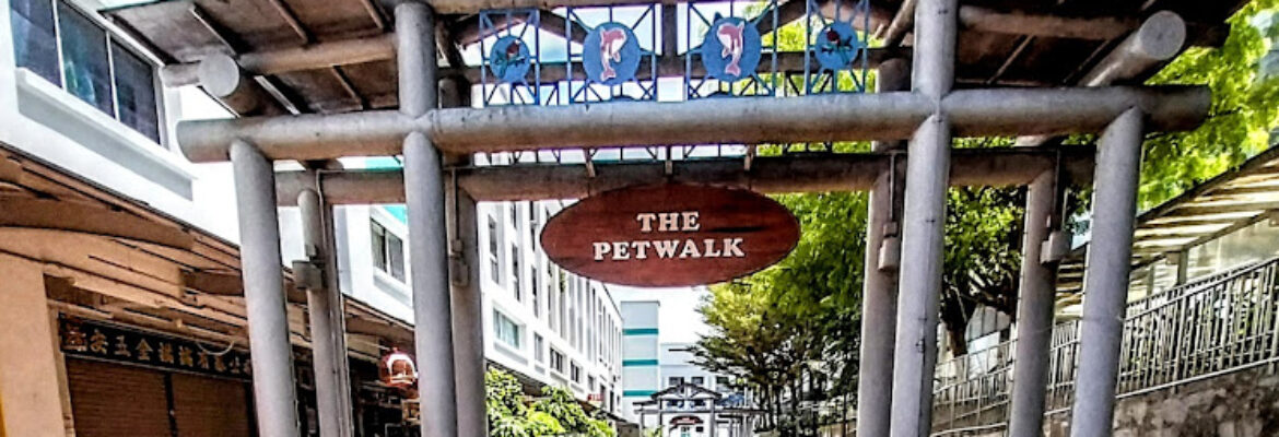 The Pet Walk
