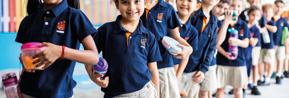 Sir Manasseh Meyer International School (SMMIS)
