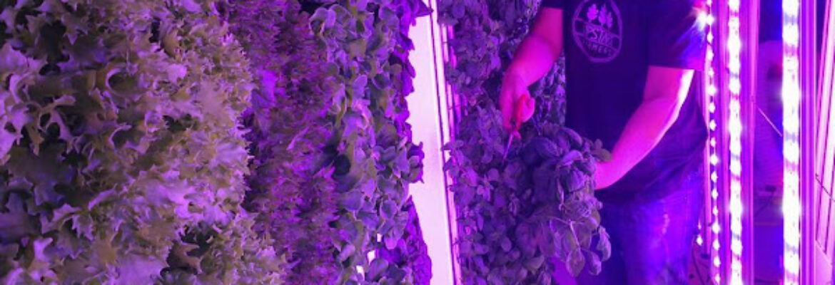 Upgrown Farming Co. (Indoor/Vertical/Urban/Hydroponics Farming)