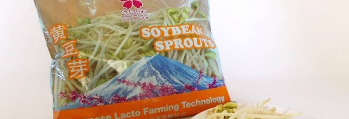 Bean Farm Pte Ltd 豆之家