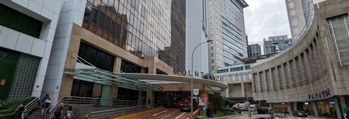 Mount Elizabeth Medical Centre