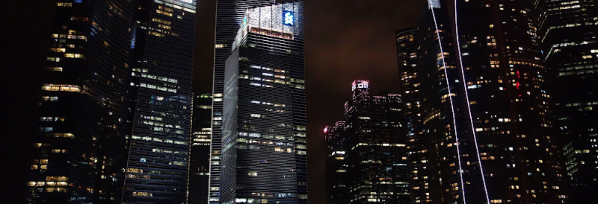 DBS Raffles Place Branch (Financial Planning and Selected Services)