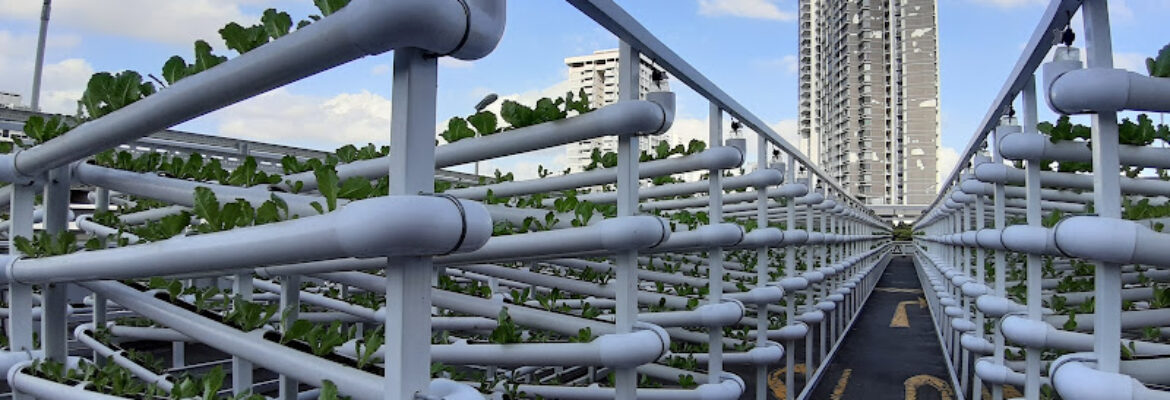 Citiponics Urban Vertical Farm