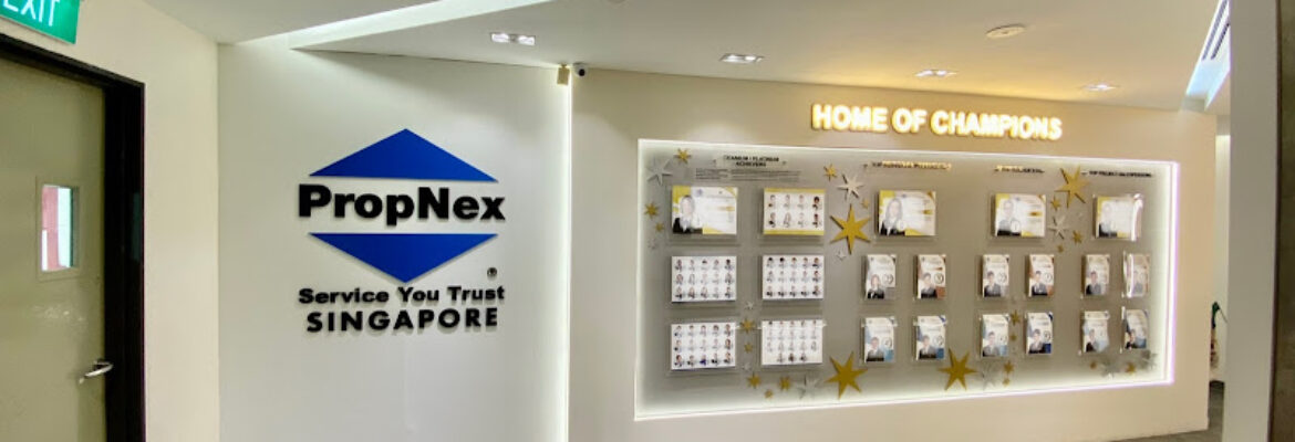 Kean Ng – Stay Real 8state | 小杰 – 梦想家 | Propnex Realty Pte Ltd