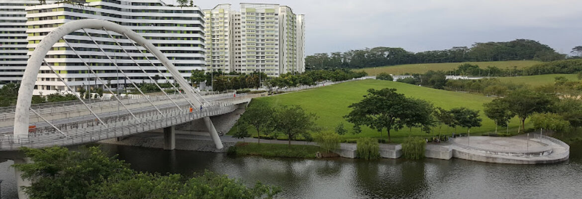 Raffles Women’s Centre – 莱佛士妇产科医疗中心