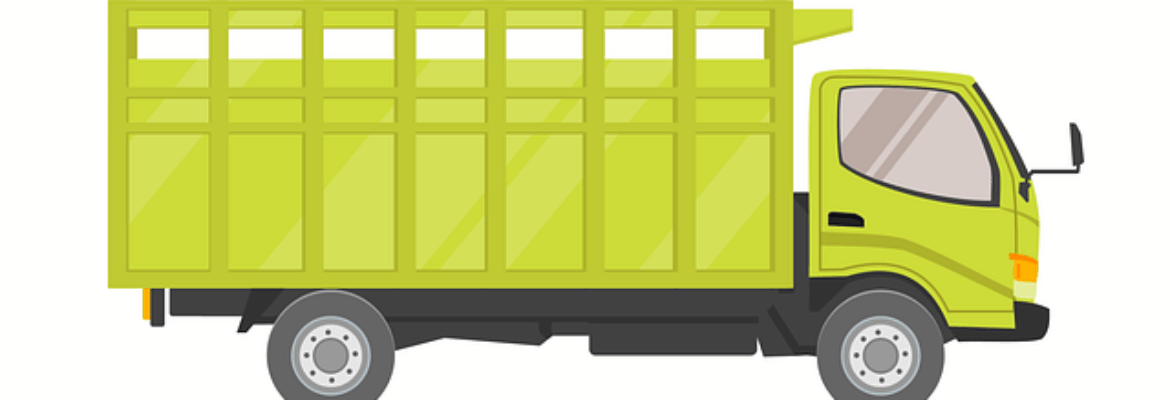 Care Express Services