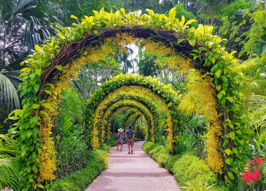 Singapore Botanic Gardens 新加坡植物园（可替换为你的图片）