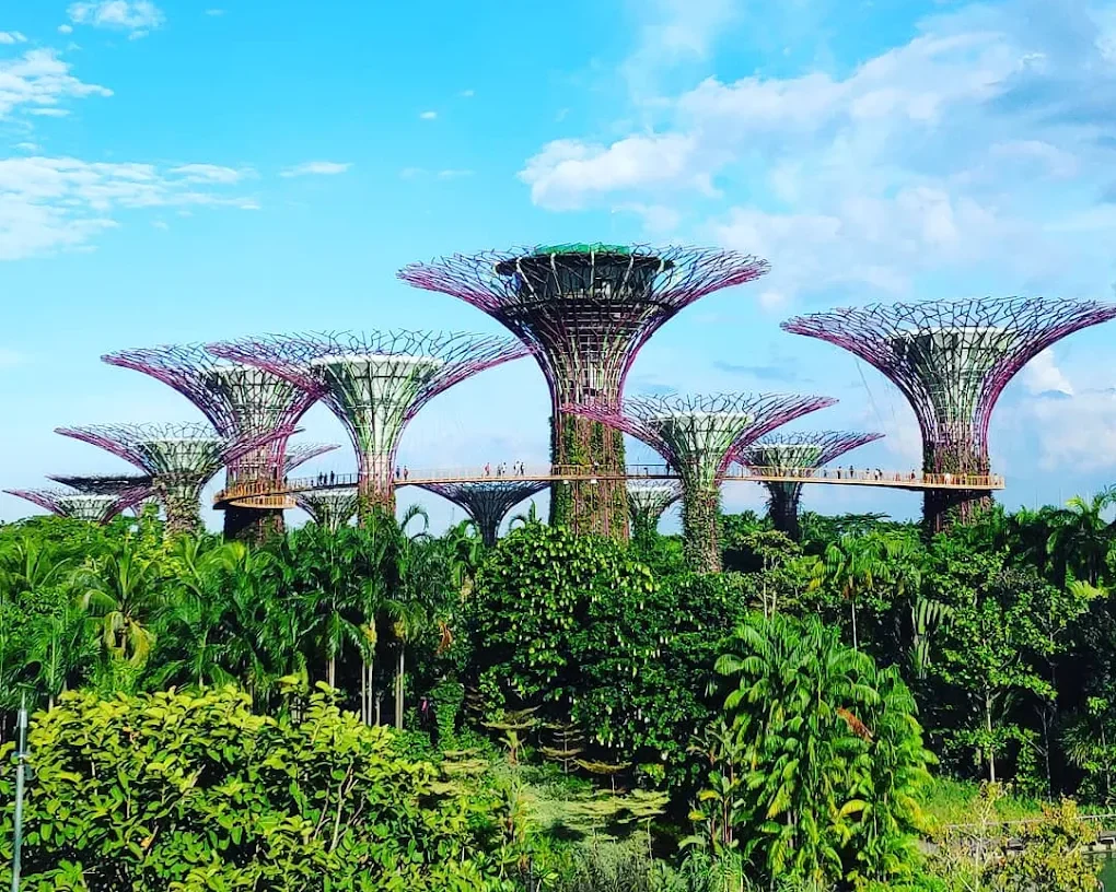 滨海湾花园 Gardens by the Bay